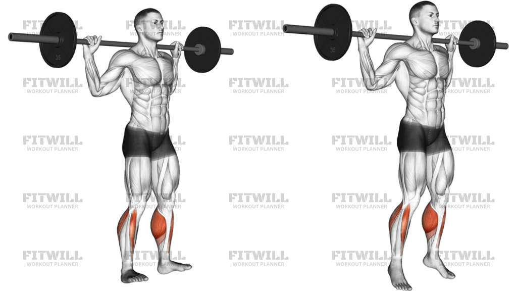 Barbell Standing Rocking Leg Calf Raise