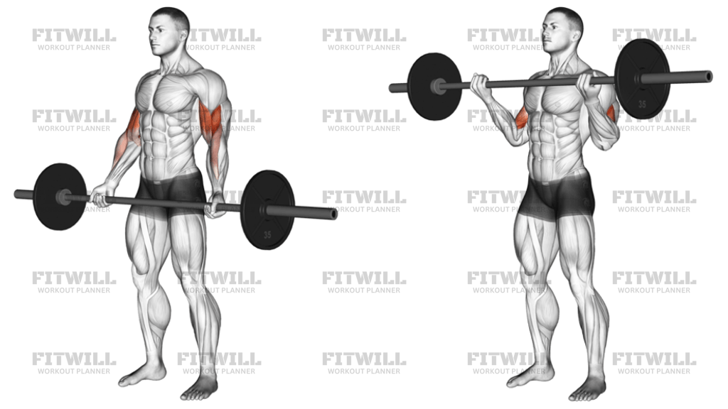 Barbell Standing Wide-Grip Curl