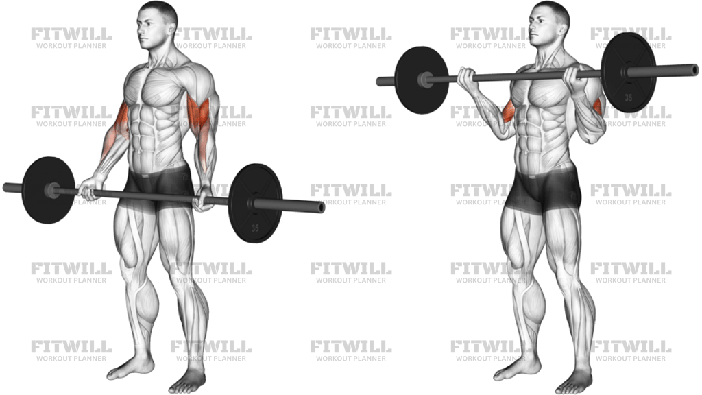 Barbell Standing Wide-Grip Curl