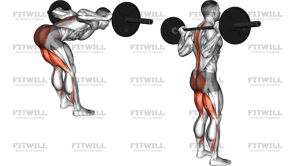 Barbell Stiff Leg Good Morning