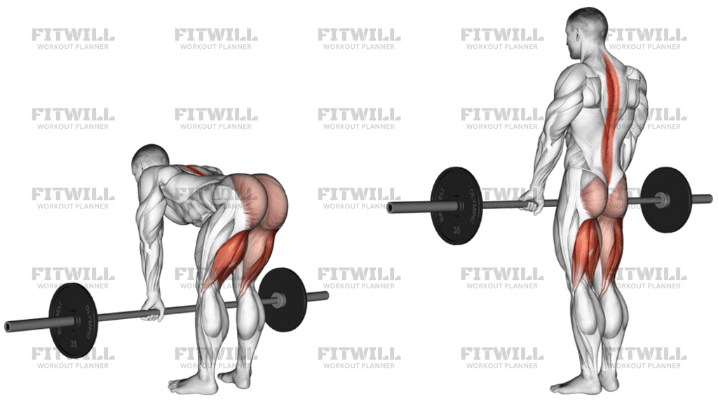 Barbell Straight Leg Deadlift