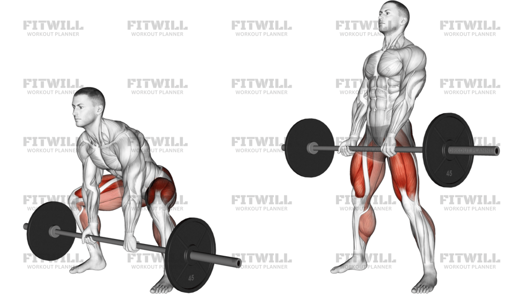 Barbell Sumo Deadlift