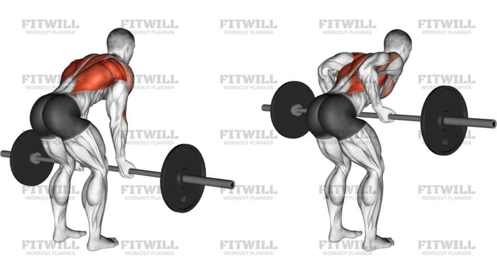 Barbell Reverse-Grip Bent-Over Row
