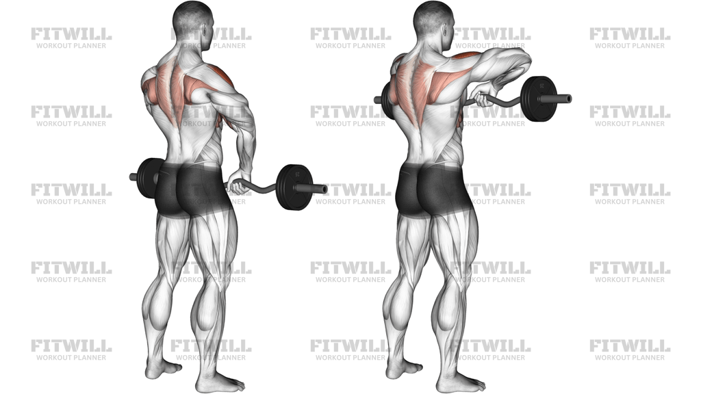 Barbell Upright Row