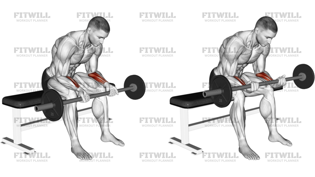 Barbell Wrist Curl Version 2