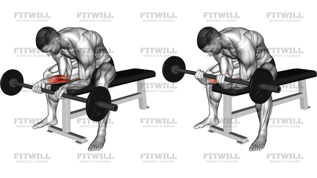 Barbell Wrist Curl