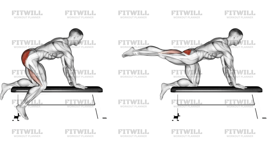 Kneeling Leg Raise On Bench