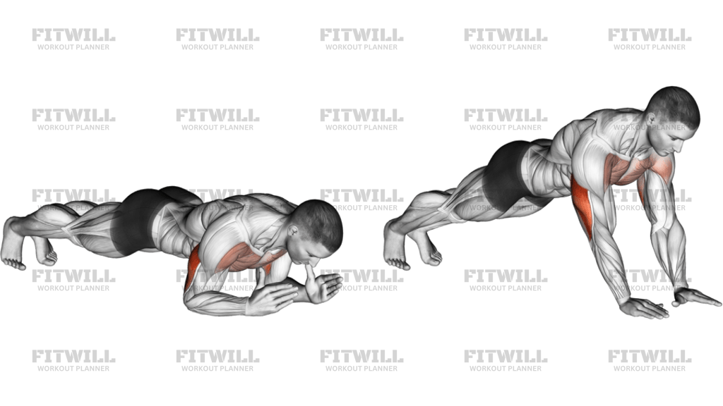 Body-Up