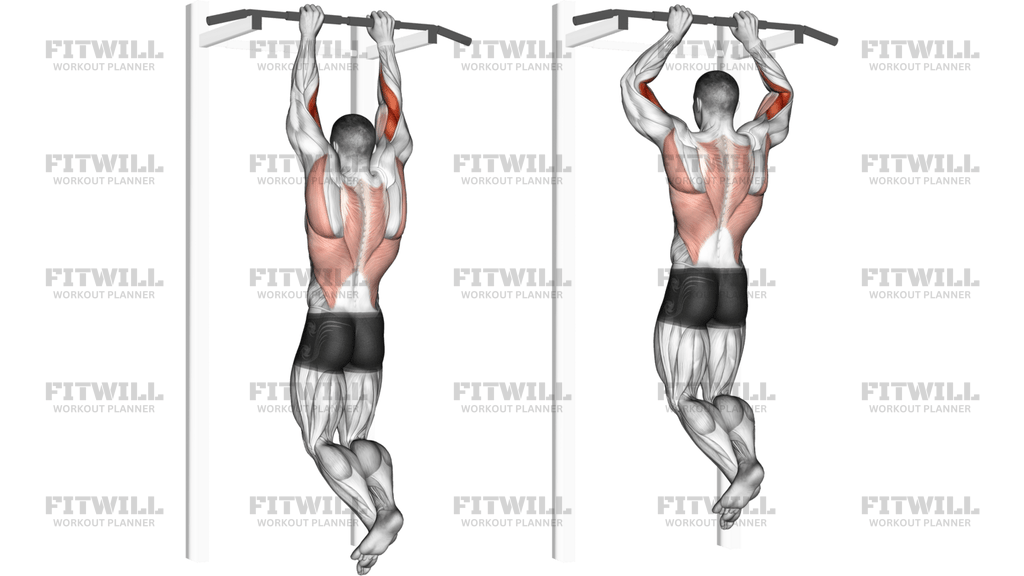 Brachialis Pull-Up