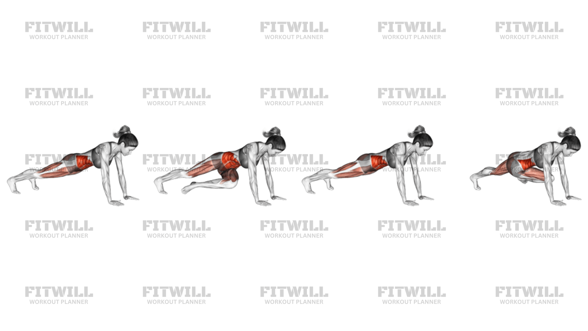 Bridge Mountain Climber Cross Body Exercise Guide Video Techniques Benefits How to Muscles Worked Tips Tricks Fitwill