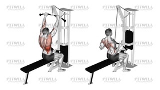 Cable Bar Lateral Pulldown