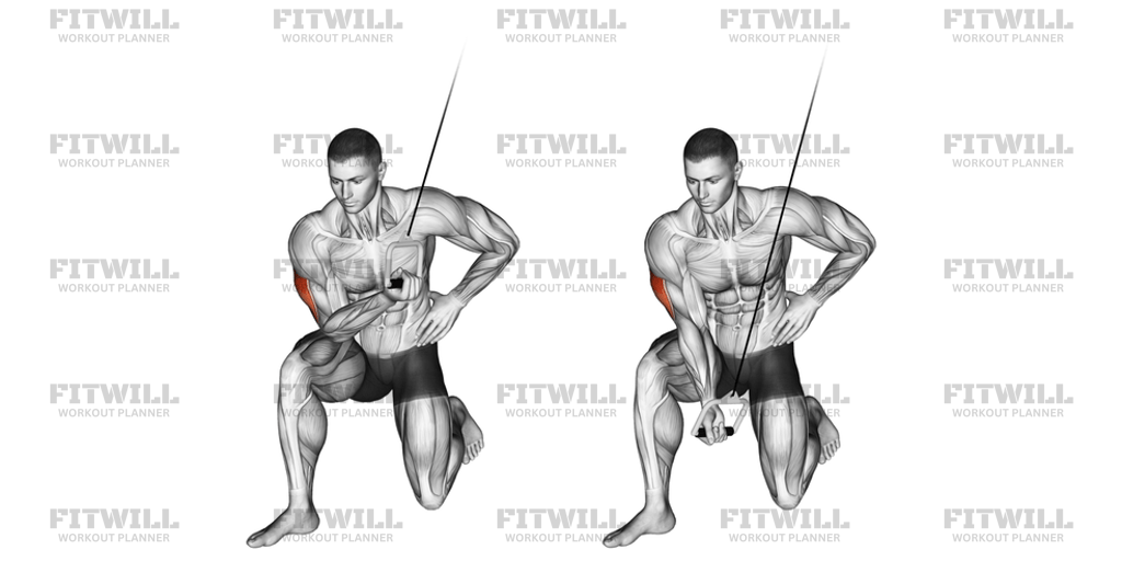 Cable Concentration Extension On Knee: Exercise Guide, Video ...