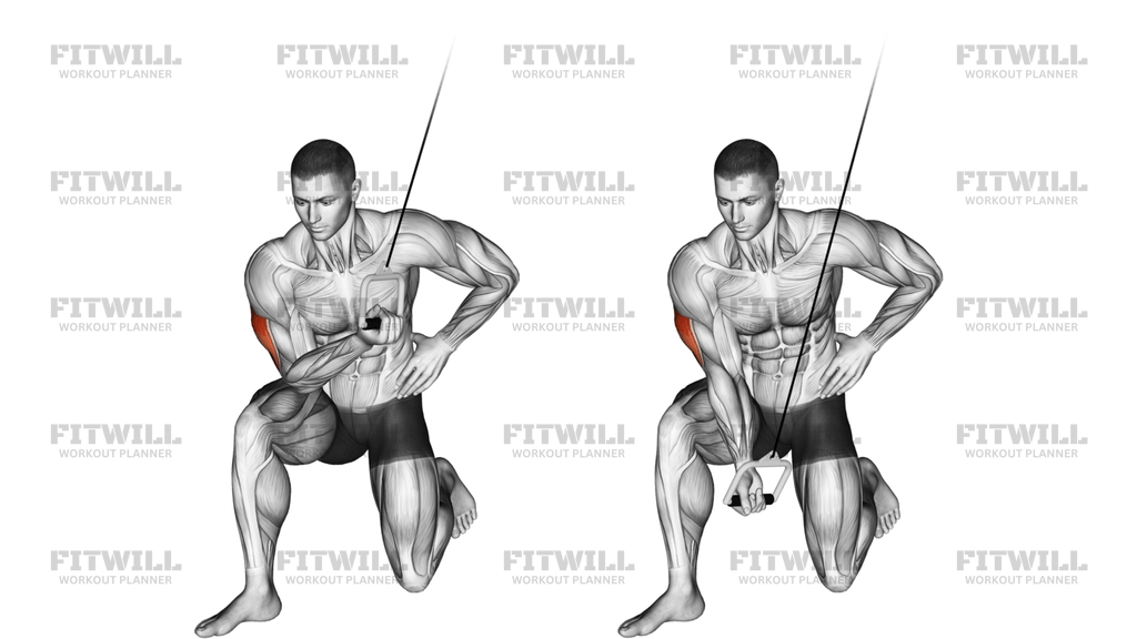 Cable Concentration Extension On Knee