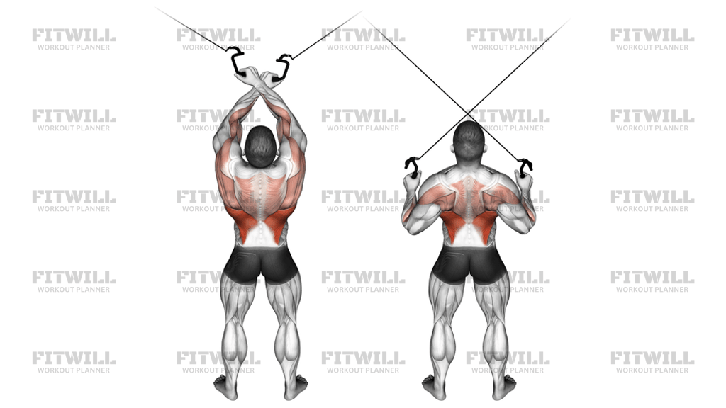 Cable Cross-Over Lateral Pulldown