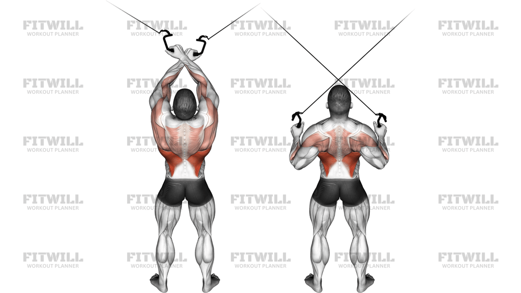 Cable Cross-Over Lateral Pulldown