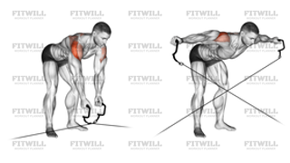 Cable Cross-Over Reverse Fly