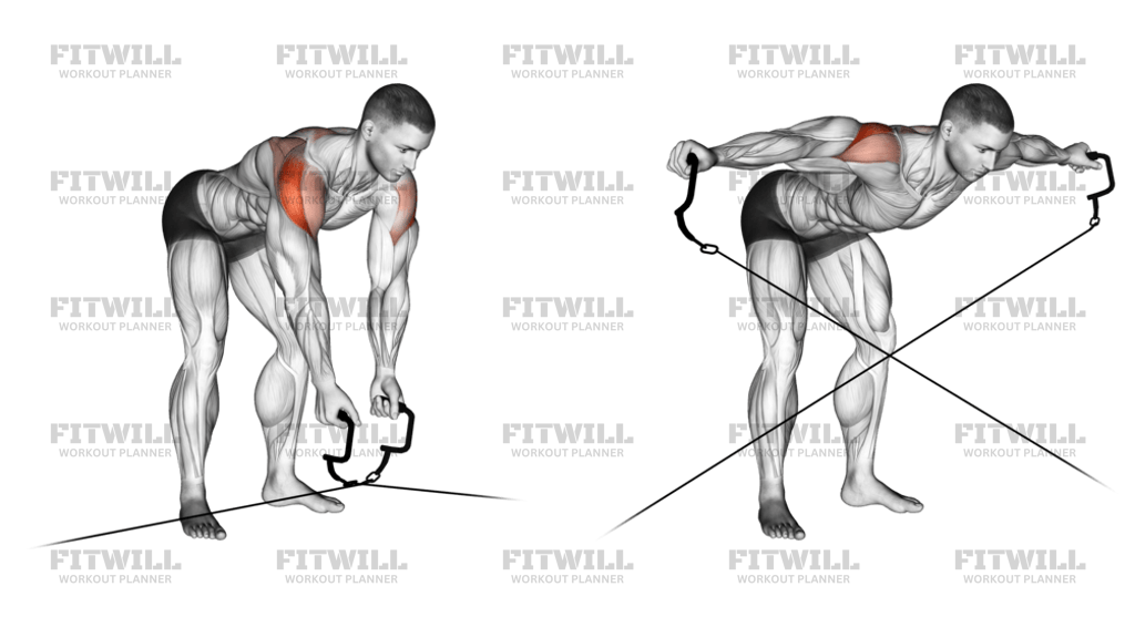 Cable Cross-Over Reverse Fly