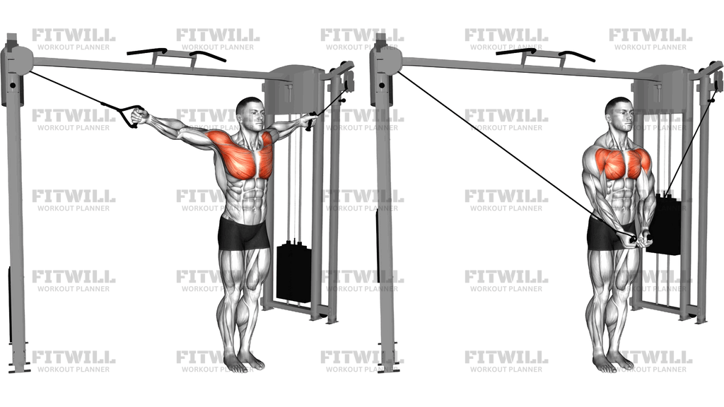 Cable Cross-Over Variation