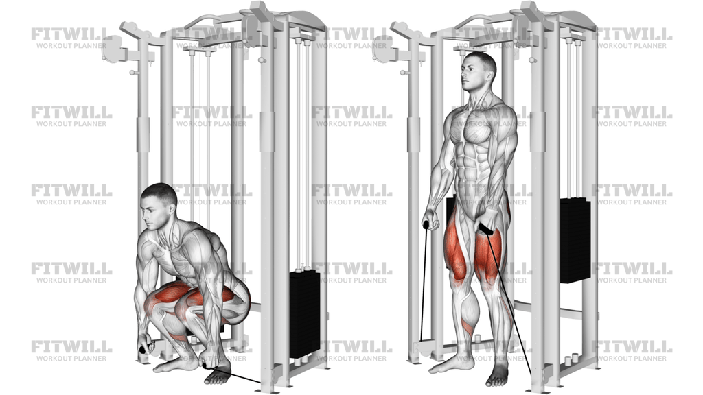 Cable Deadlift