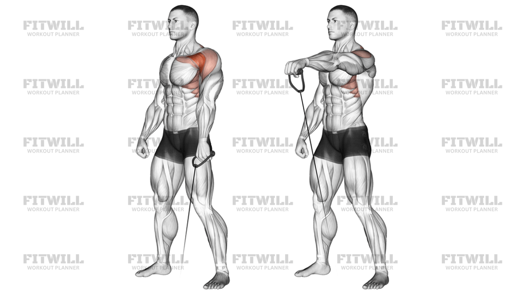 Cable Forward Raise: Exercise Guide, Video, Techniques, Benefits, How ...