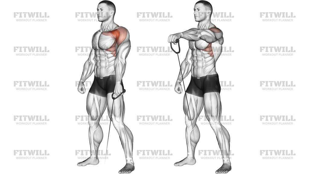 Cable Forward Raise