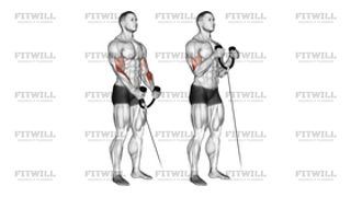Cable Rope Hammer Curl