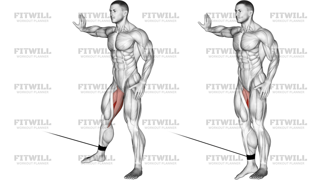 Cable Hip Adduction
