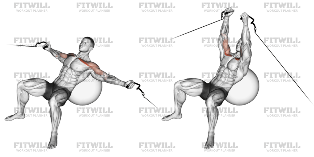 Cable Incline Fly On Stability Ball: Exercise Guide, Video, Techniques ...