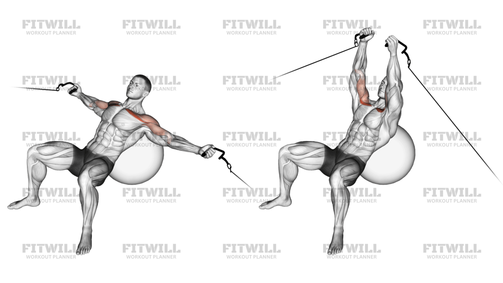 Cable Incline Fly On Stability Ball