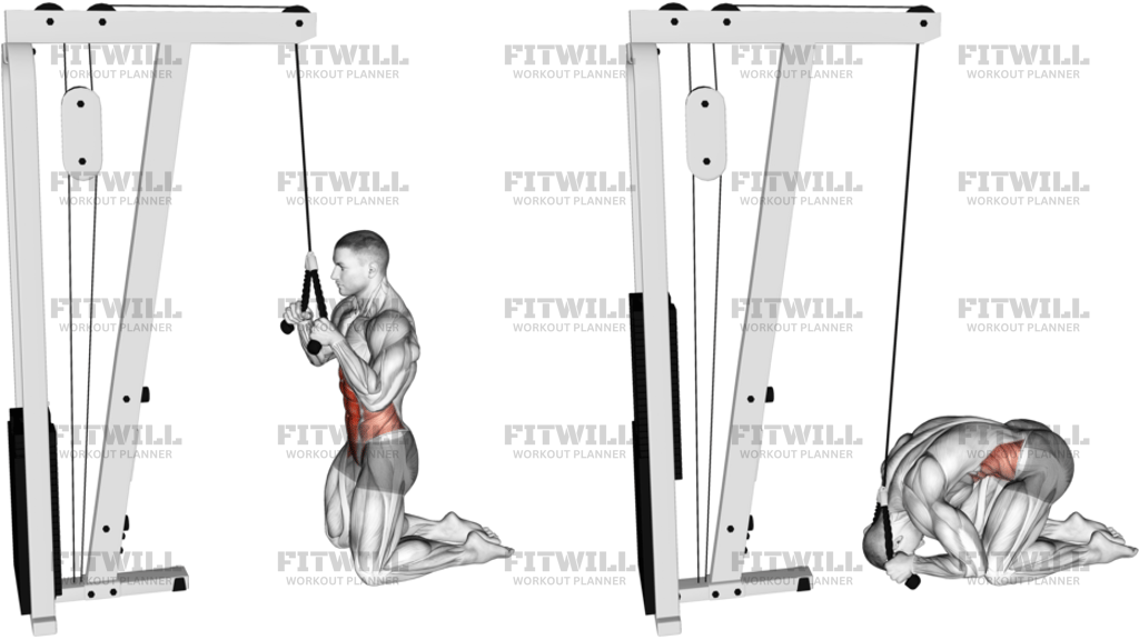 Cable Kneeling Crunch