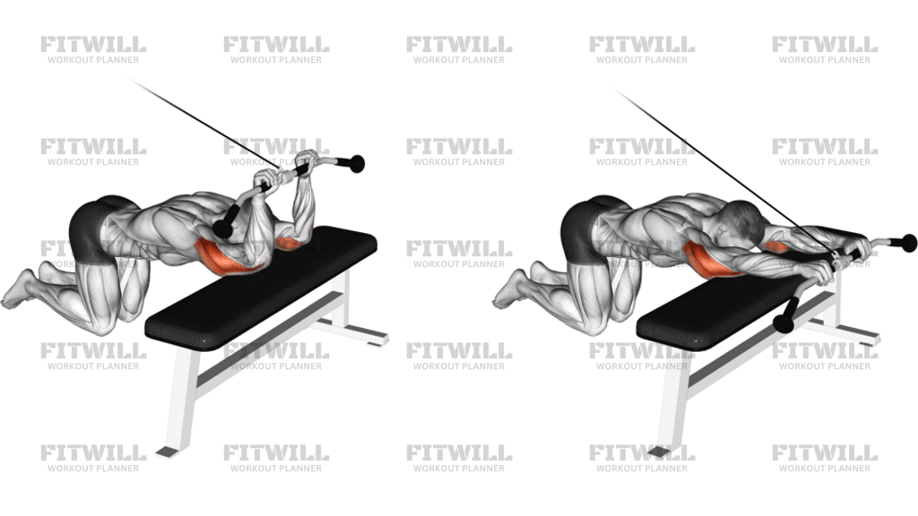 Cable Kneeling Triceps Extension