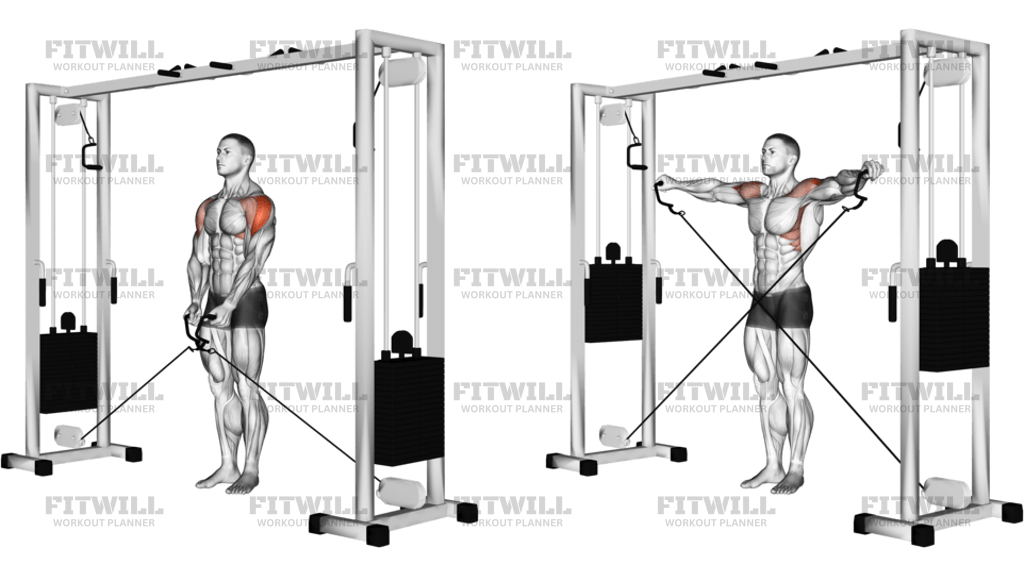 Cable Lateral Raise