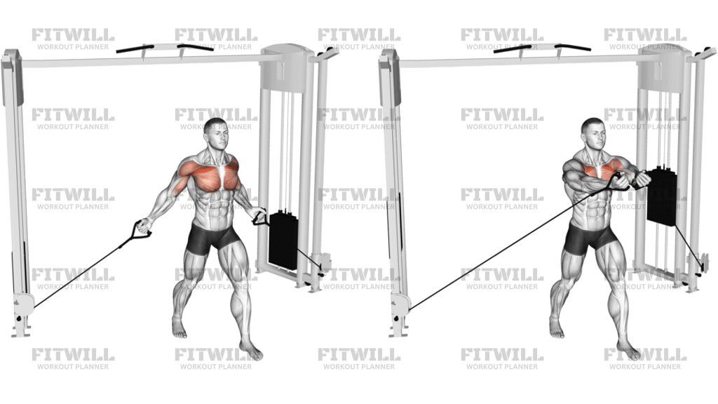 Cable Low Fly