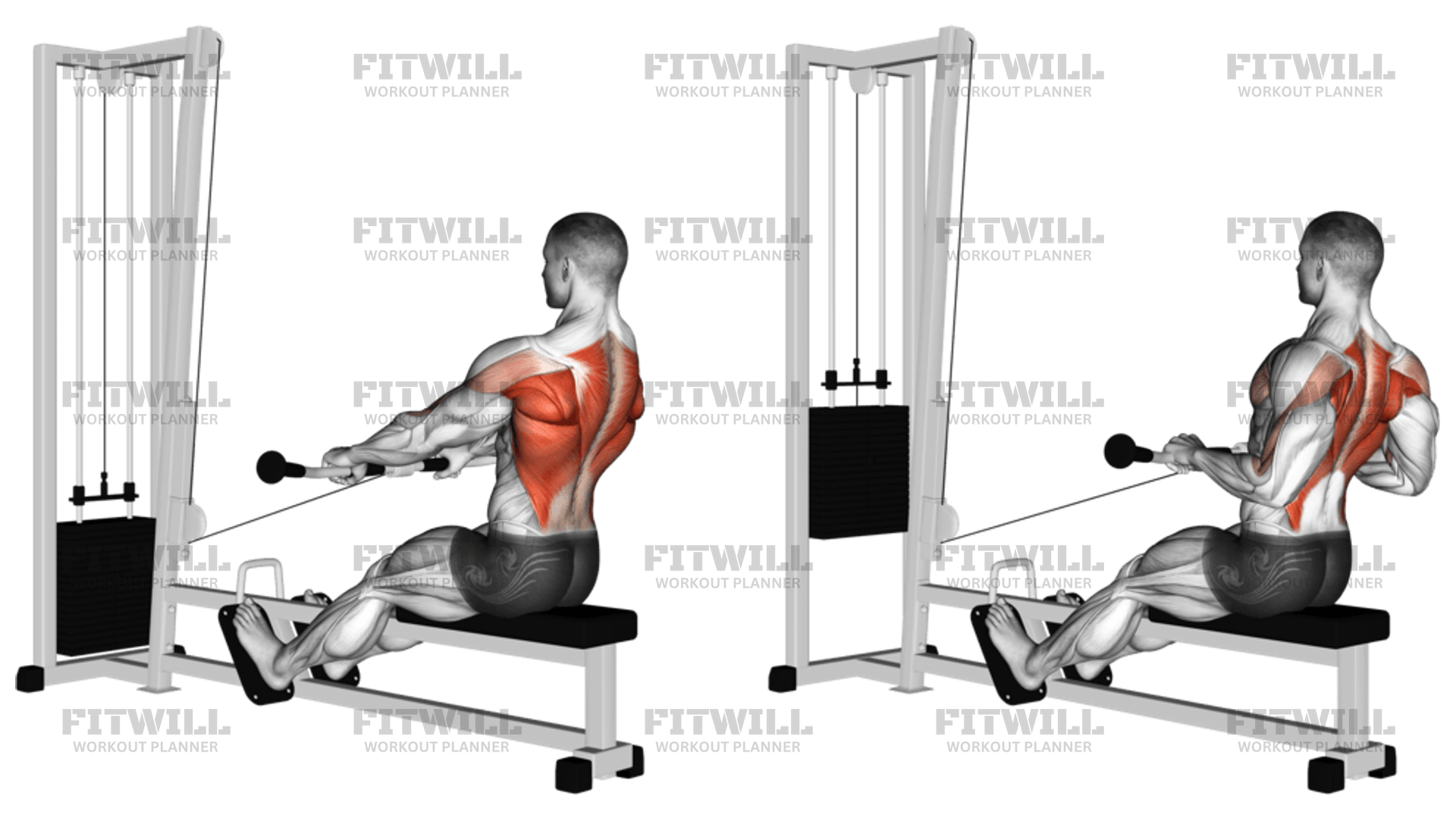 Low cable row exercise hotsell