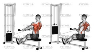 Cable Seated Low Row
