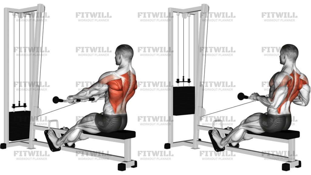Cable Seated Low Row