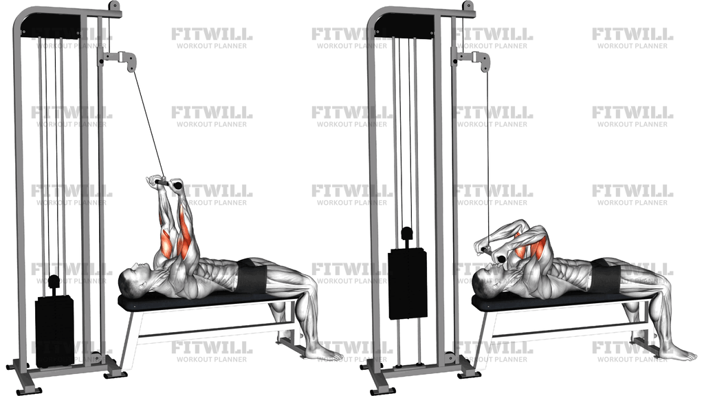 Cable Lying Close-Grip Curl