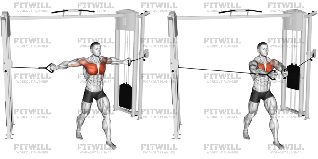 Cable Middle Fly: Exercise Guide, Video, Techniques, Benefits, How to ...