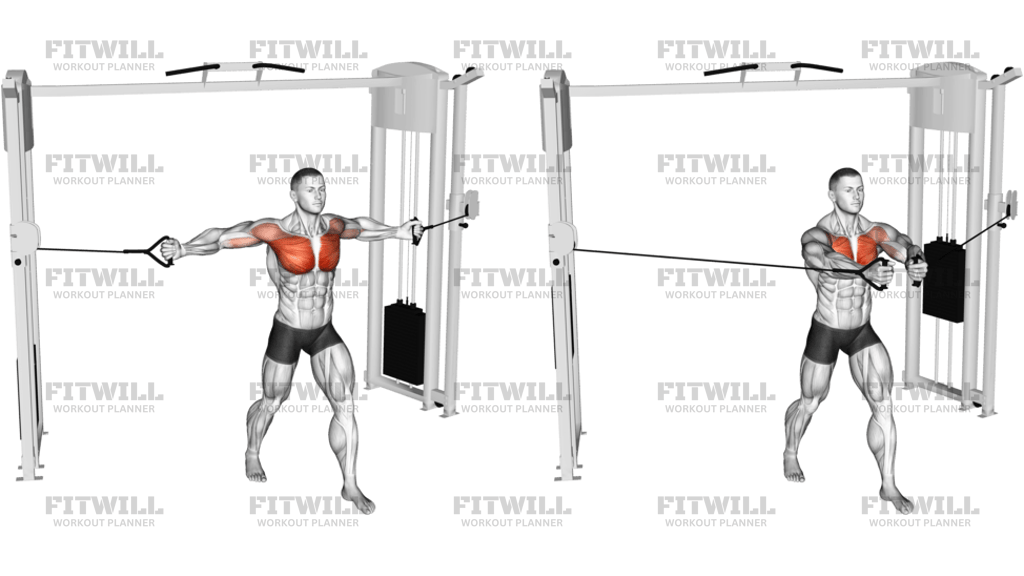 Cable Middle Fly