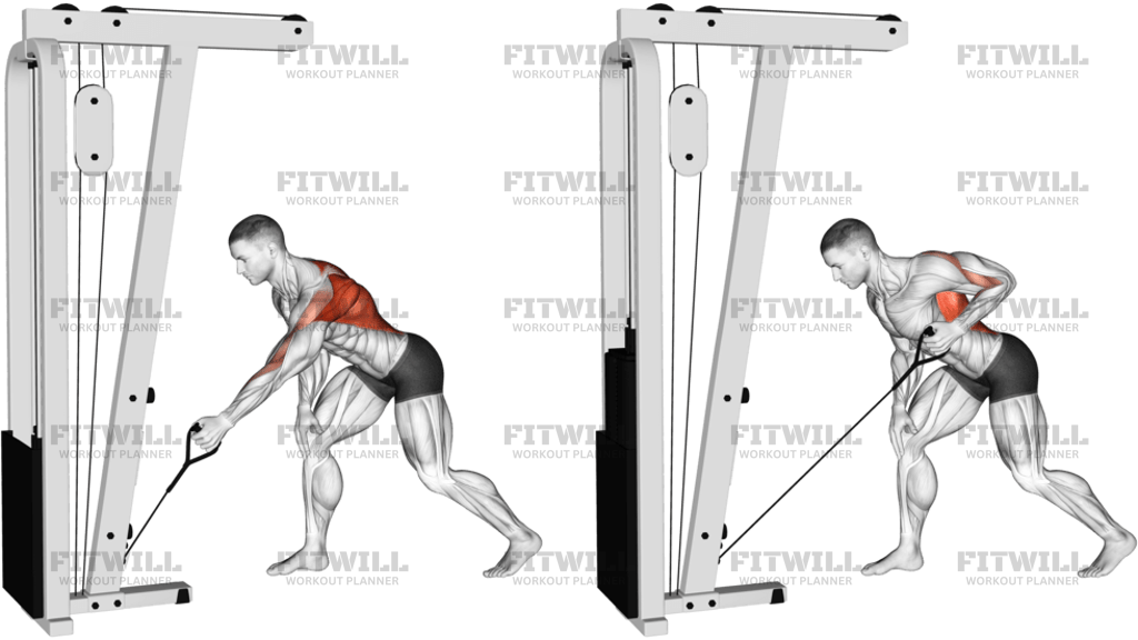 Single-Arm Cable Rows
