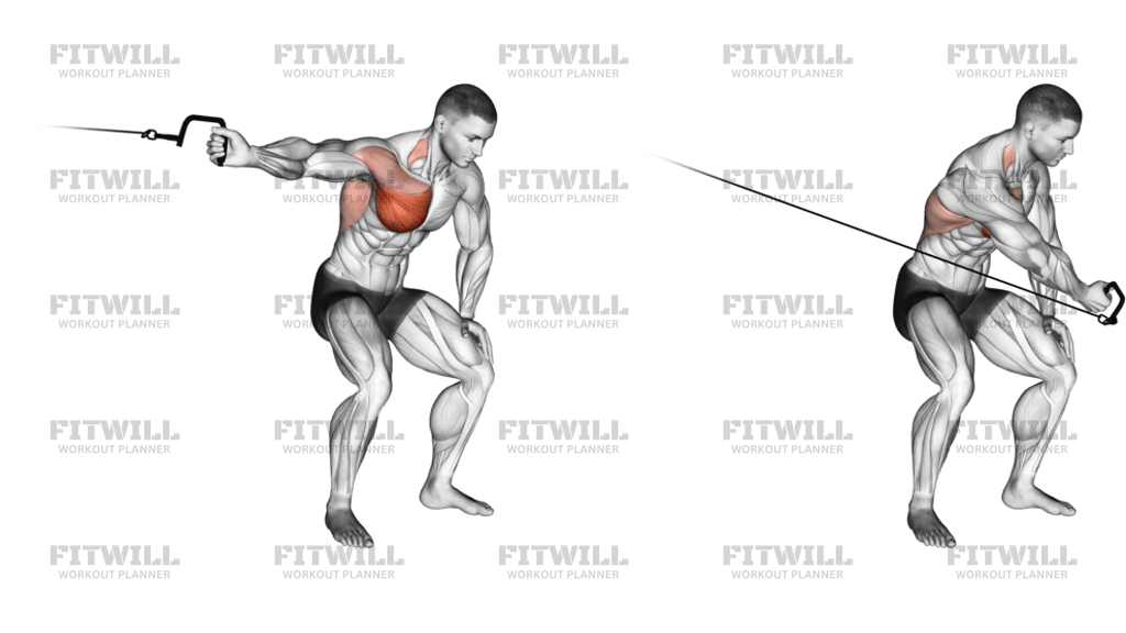 Cable One-Arm Lateral Bent-Over Right Side