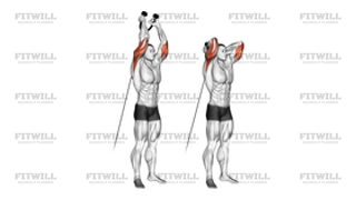 Cable Rope Overhead Triceps Extension