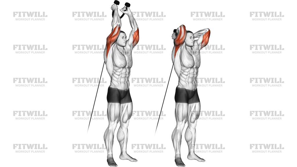 Cable Rope Overhead Triceps Extension