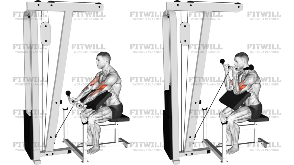 Cable Preacher Curl