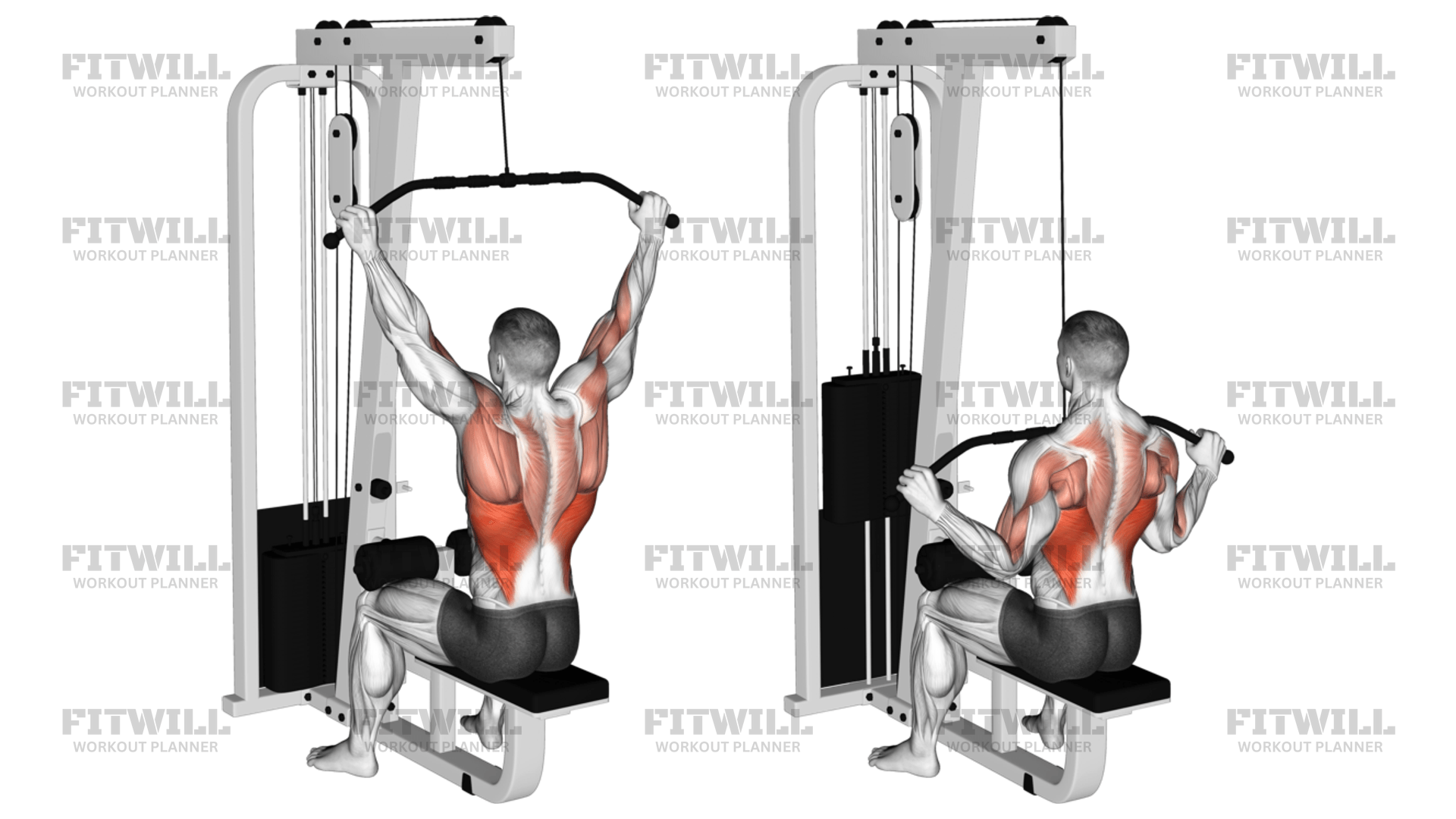 Wide Grip Cable Lat Pulldown: Exercise Guide, Video, Techniques ...