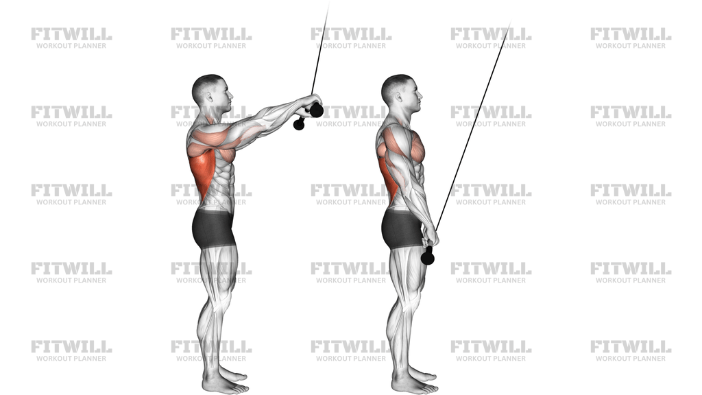 Cable Pushdown Straight Arm Version 2