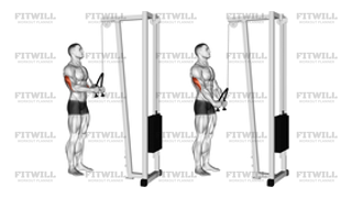 Cable Rope Pushdown