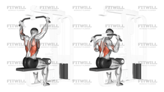 Cable Rear Pulldown