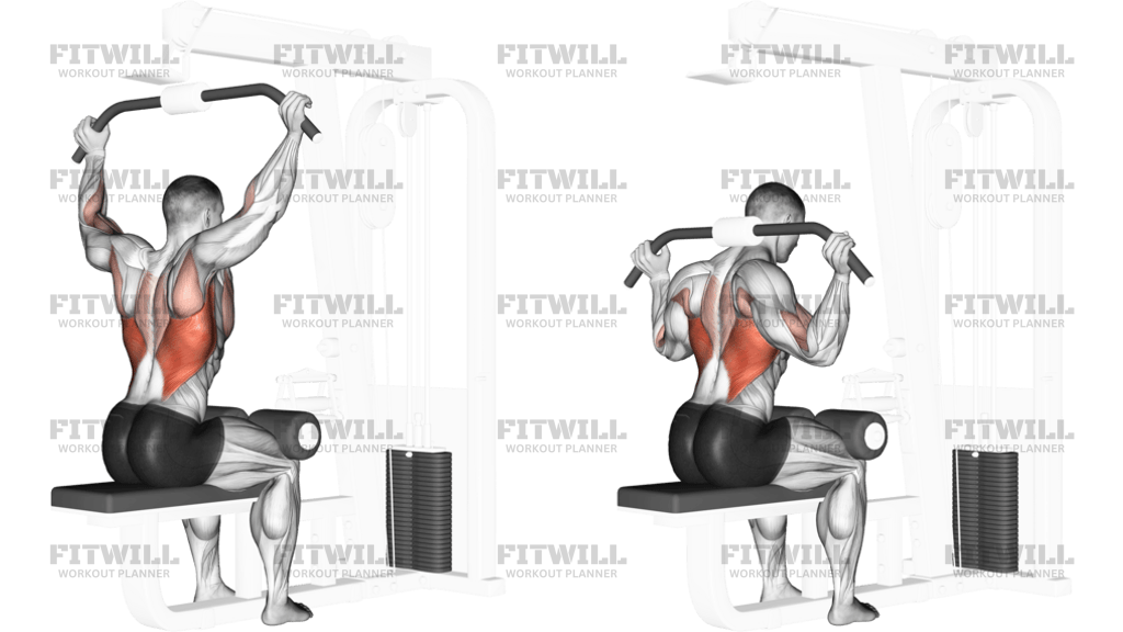 Cable Rear Pulldown