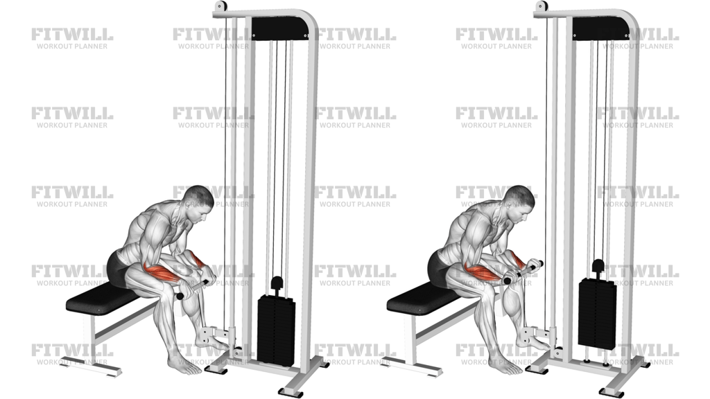 Cable Reverse Wrist Curl